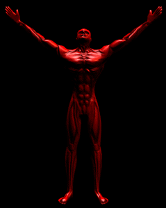 Man Power